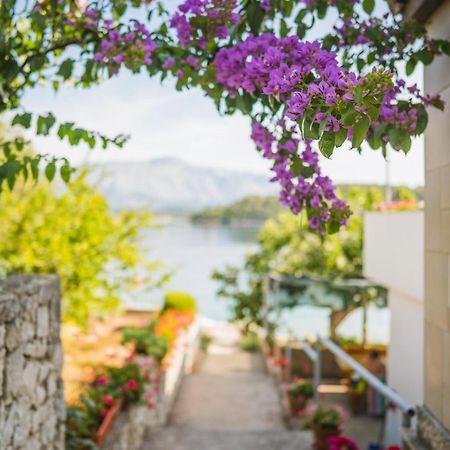 Apartments By The Sea Lumbarda, Korcula - 4446 Exterior photo